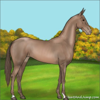 Horse Color:Black Pearl 