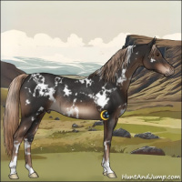 Horse Color:White Spotted Liver Chestnut Rabicano 