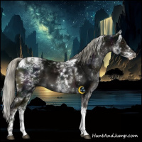 Horse Color:White Spotted Midnight Liver Chestnut Mushroom Tobiano 