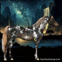 Horse Color:Gray White Spotted Liver Chestnut Ice 