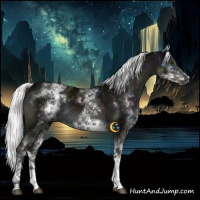 Horse Color:Gray Platinum White Spotted Midnight Liver Chestnut Mushroom 