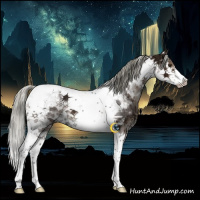 Horse Color:Liver Chestnut Ice Mushroom Splash Tobiano