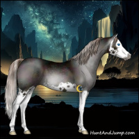 Horse Color:Gray Midnight Liver Chestnut Ice Splash 