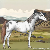 Horse Color:White Spotted Liver Chestnut Rabicano 