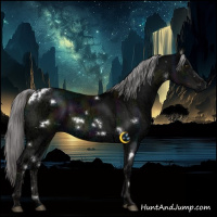Horse Color:Platinum White Spotted Midnight Liver Red Dun Ice Mushroom Sabino 