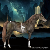 Horse Color:Liver Red Dun Ice Tobiano 
