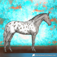 Horse Color:Silver Grullo Appaloosa Brindle 