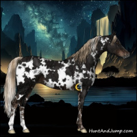 Horse Color:White Spotted Liver Chestnut Ice 