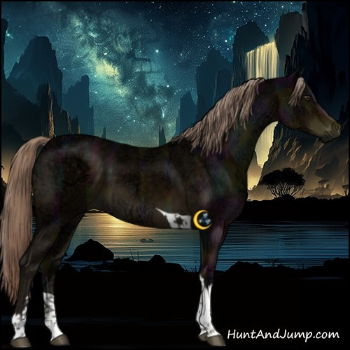 Horse Color:Midnight Chocolate Palomino Ice Tobiano 