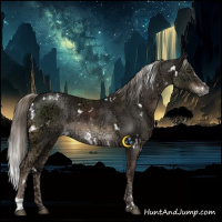 Horse Color:White Spotted Liver Chestnut Ice Mushroom 