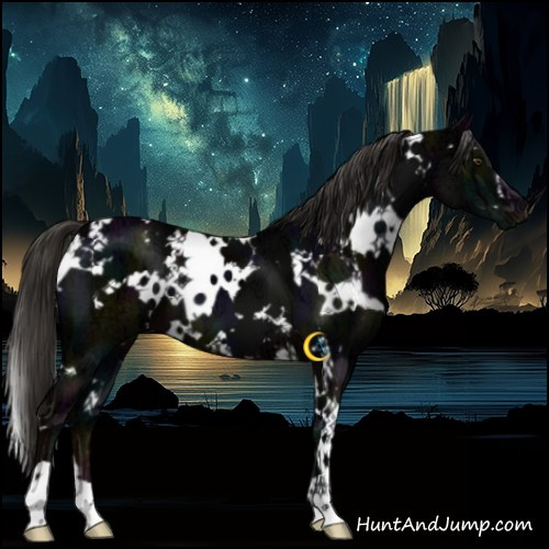 Horse Color:White Spotted Midnight Liver Chestnut Ice 