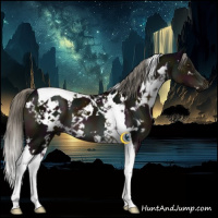 Horse Color:White Spotted Midnight Liver Chestnut Mushroom Tobiano 