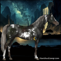 Horse Color:White Spotted Liver Chestnut Ice Mushroom Sabino Rabicano 