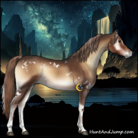 Horse Color:White Spotted Liver Red Onyx 