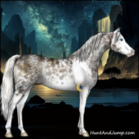 Horse Color:White Spotted Liver Red Onyx Ice Mushroom Splash Rabicano 