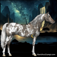 Horse Color:White Spotted Liver Red Dun Ice Mushroom 