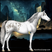 Horse Color:White Spotted Chocolate Palomino Ice Dun Mushroom Splash Rabicano Brindle 