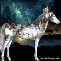 Horse Color:White Spotted Liver Chestnut Ice Mushroom Splash 