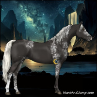 Horse Color:White Spotted Liver Chestnut Mushroom 