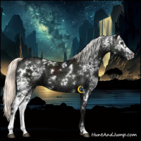 Horse Color:White Spotted Liver Chestnut Ice Mushroom 