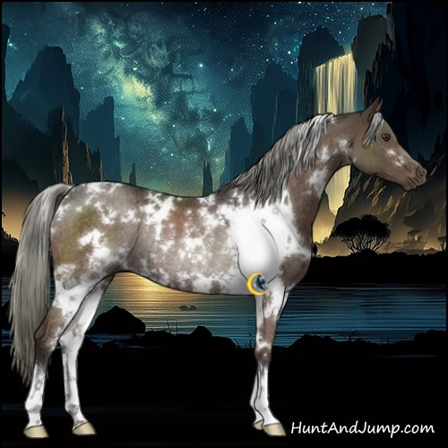 Horse Color:White Spotted Liver Chestnut Mushroom Rabicano