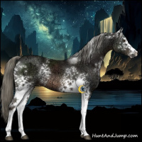 Horse Color:White Spotted Liver Chestnut Ice Mushroom 