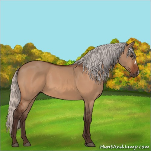 Horse Color:Silver Bay Dun 