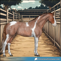 Horse Color:Red Roan Splash Tobiano Rabicano 