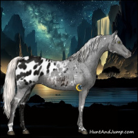 Horse Color:White Spotted Liver Chestnut Ice Mushroom Appaloosa 