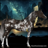 Horse Color:White Spotted Liver Chestnut Ice