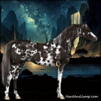 Horse Color:White Spotted Liver Chestnut Ice 