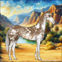 Horse Color:Chocolate Palomino Sabino Rabicano 