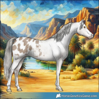 Horse Color:Liver Red Dun Mushroom Appaloosa Brindle 