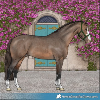 Horse Color:Brown Dun Varnish Brindle 
