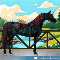 Horse Color:ERROR: UNKNOWN ANOMALY