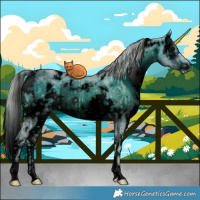 Horse Color:ERROR: UNKNOWN ANOMALY