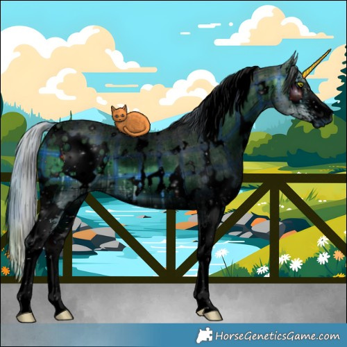 Horse Color:ERROR: UNKNOWN ANOMALY