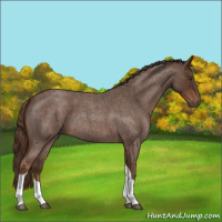Horse Color:Liver Red Roan Tobiano 