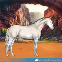 Horse Color:Silver Bay Ice Roan Dun Splash 