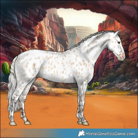 Horse Color:Silver Bay Roan Dun Near Leopard 