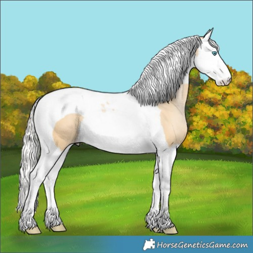 Horse Color:Silver Buckskin Pearl Splash Tobiano 