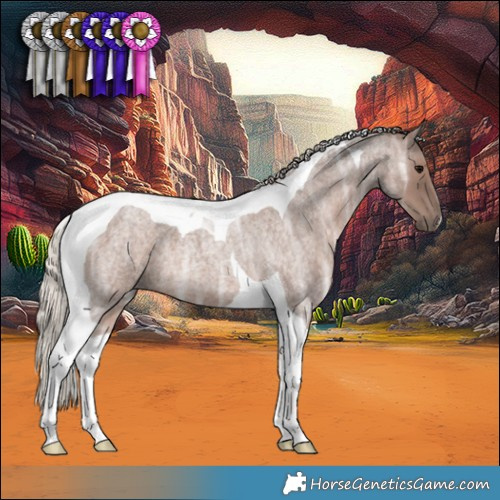 Horse Color:Silver Blue Ice Roan Tobiano