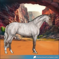 Horse Color:Silver Blue Roan 