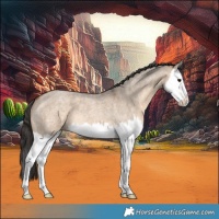 Horse Color:Brown Roan Dun Splash 