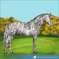 Horse Color:Smoky Black  and Silver Smoky Creme Roan Rabicano 