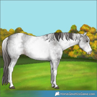 Horse Color:White Spotted Liver Chestnut Ice Sabino 