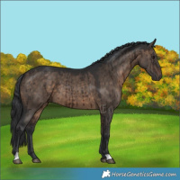 Horse Color:Brown Dun Brindle 