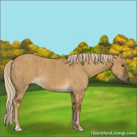 Horse Color:Chocolate Palomino Dun Brindle 