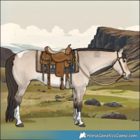 Horse Color:Bay Dun Tobiano 