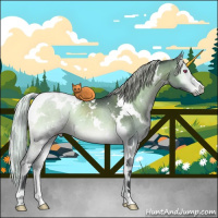 Horse Color:White Spotted Silver Brown Chinchilla Onyx Rabicano Brindle